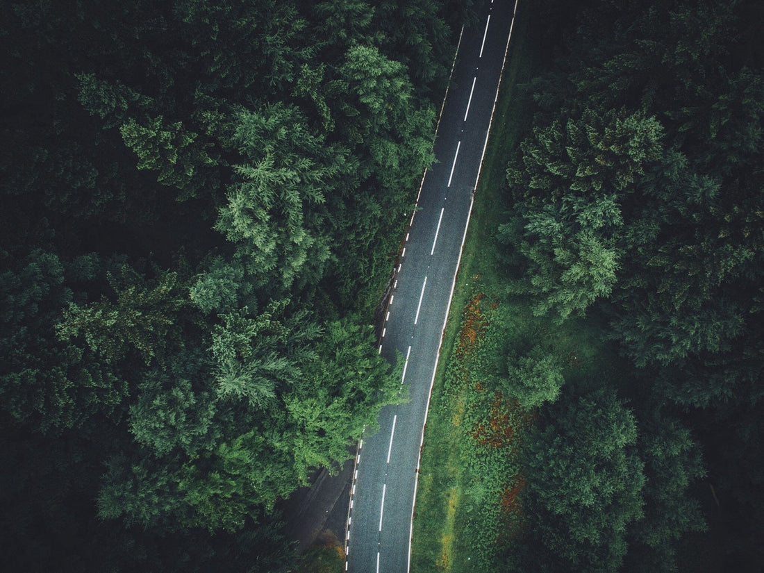 Navigating, Surviving, and Thriving: Future Directions in the Jewelry Market